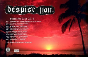 despise you tour